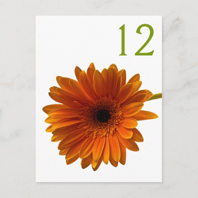 Orange Gerbera Daisy Table Number Card (Front)