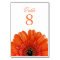 Orange Gerbera Daisy White Wedding