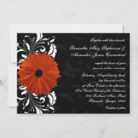 Orange Gerbera Daisy with Black and White Scroll