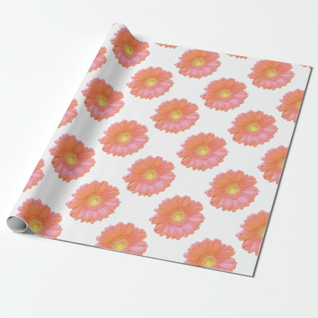 Orange gerbera daisy wrapping paper (Unrolled)