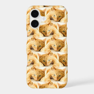 Orange Ginger Cat Pattern