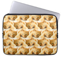 Orange Ginger Cat Pattern