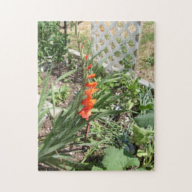 orange gladiolas jigsaw puzzle (Vertical)
