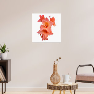 Orange Gladiolus Floral  Poster