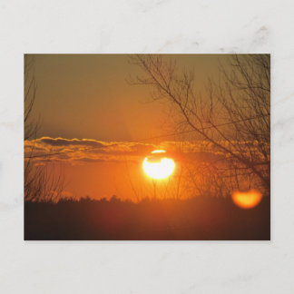 Orange Glow Postcard