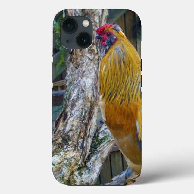 Orange Gray Fluffy Rooster,  Case-Mate iPhone Case (Back)
