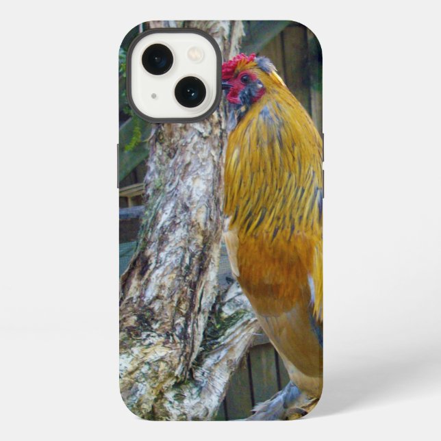 Orange Gray Fluffy Rooster,  iPhone Case (Back)