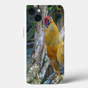 Orange Grey Fluffy Rooster, iPhone 13 Case