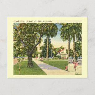 Orange Grove Ave., Pasadena, California Vintage Postcard