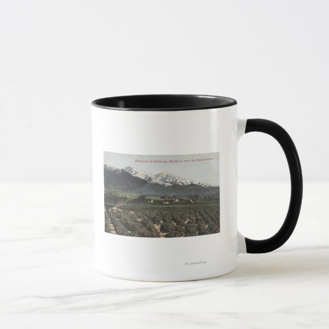 Orange Groves with Old Baldy Mt in Distance Mug (Right)