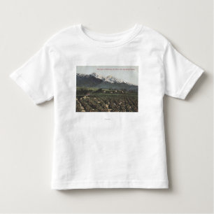 Orange Groves with Old Baldy Mt in Distance Toddler T-Shirt