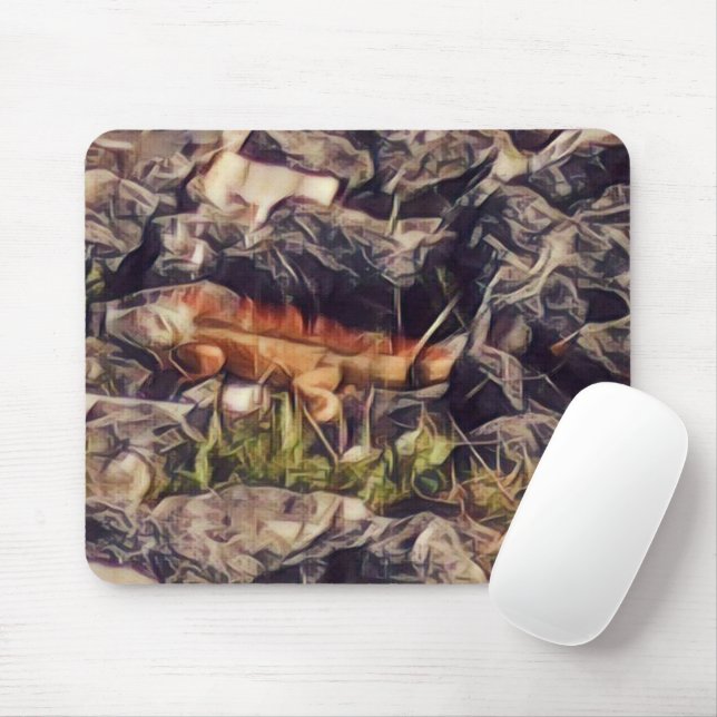 Orange Guana Art Mouse Pad (With Mouse)