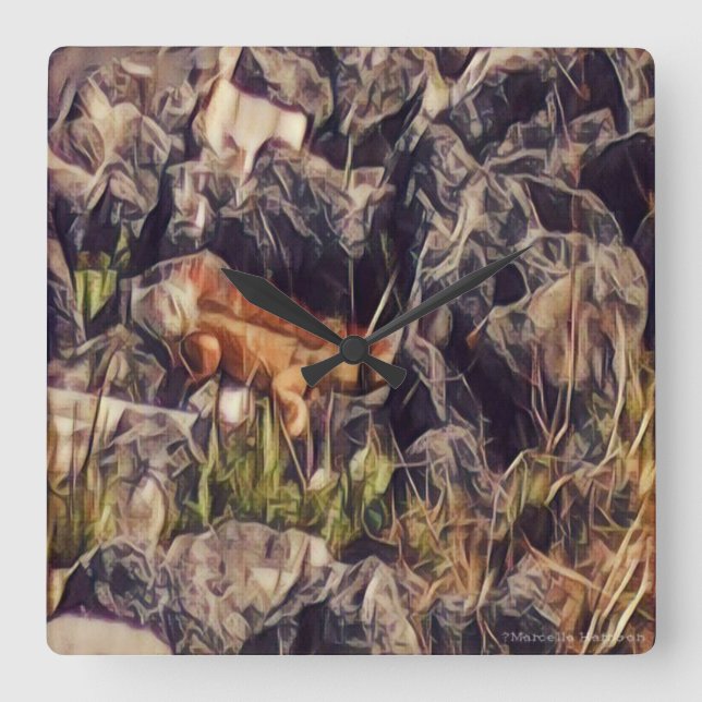 Orange Guana Art Square Wall Clock (Front)