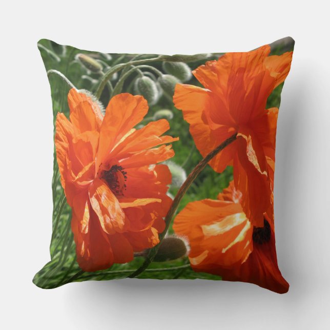 Orange Harvest Moon Oriental Poppies Cushion (Front)