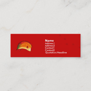 Orange Hedgehog Profile Card