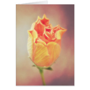 Orange Hibiscus Bloom Card