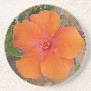 Orange Hibiscus coaster