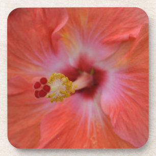 Orange Hibiscus Cork Coaster