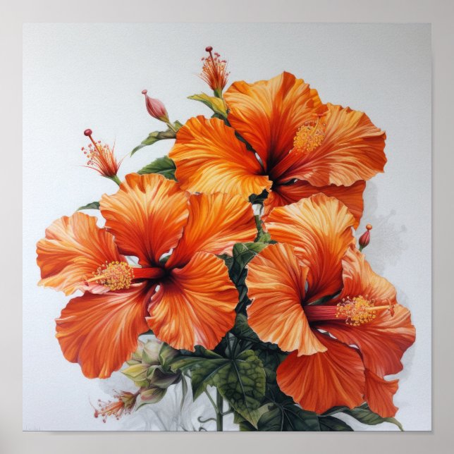 Orange Hibiscus Flower Art Print Poster (Front)