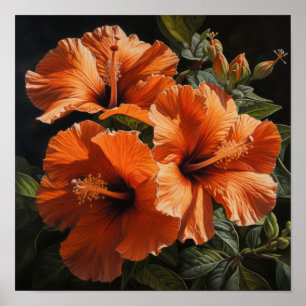 Orange Hibiscus Flower Art Print Poster