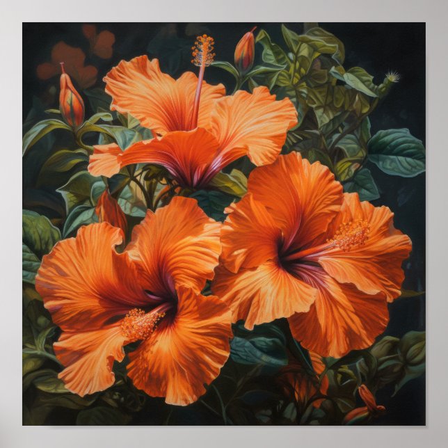 Orange Hibiscus Flower Art Print Poster (Front)