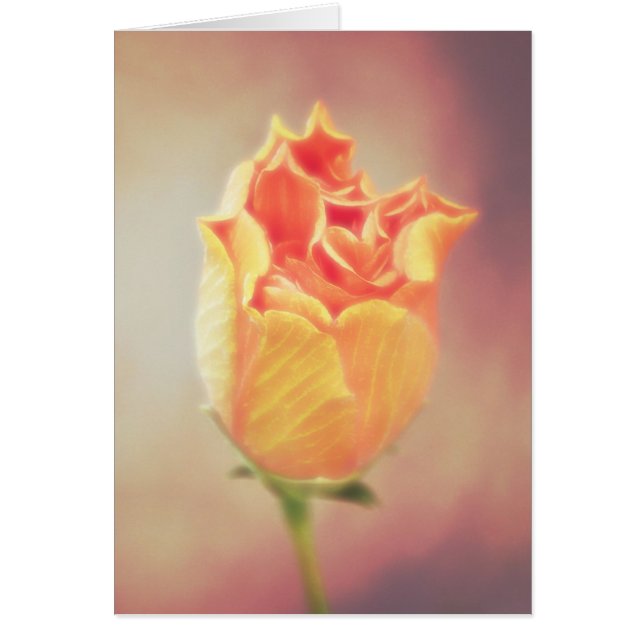 Orange Hibiscus Flower Bloom Card (Front)