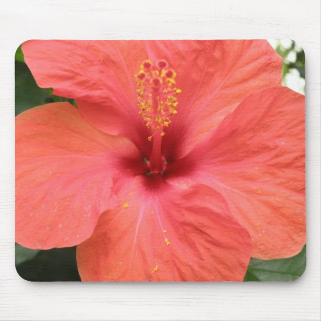 Orange Hibiscus Flower Macro Mousepad (Front)
