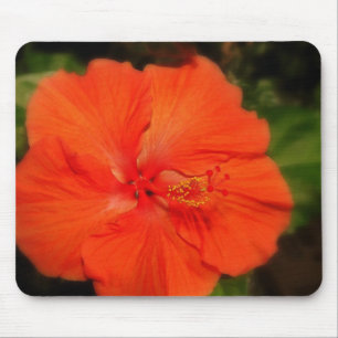 Orange Hibiscus Flower Mousepad