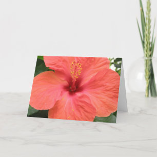Orange Hibiscus Flower Mscro Custom Greeting Card