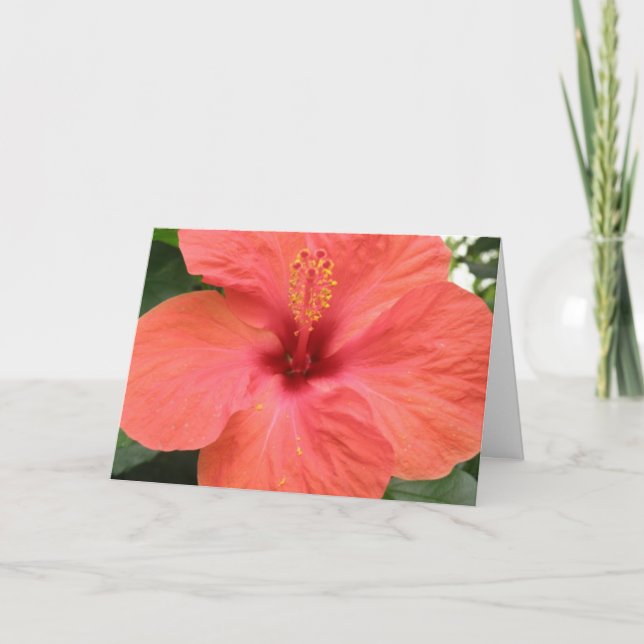 Orange Hibiscus Flower Mscro Custom Greeting Card (Front)
