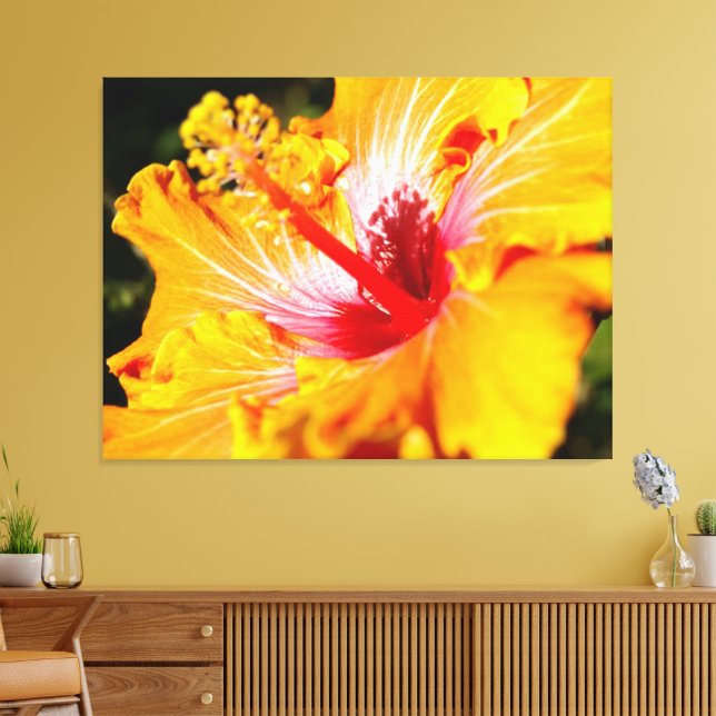 Orange Hibiscus Flower Side View Canvas Print (Insitu(LivingRoom))