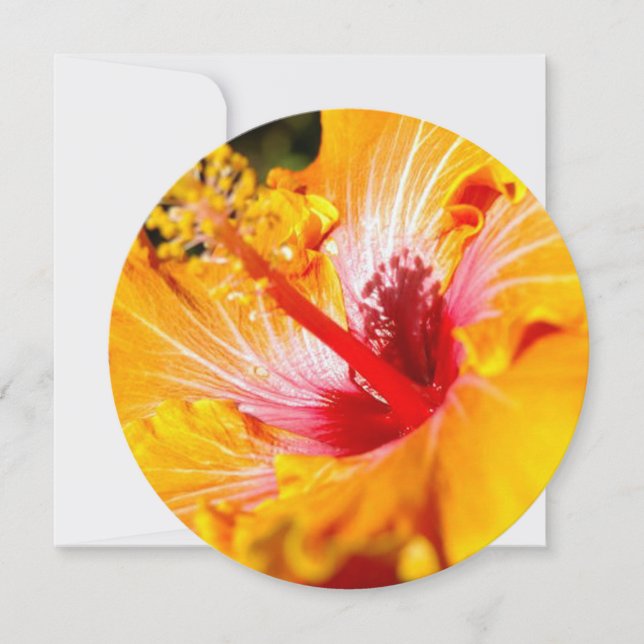 Orange Hibiscus Flower Side View Invitation (Front)