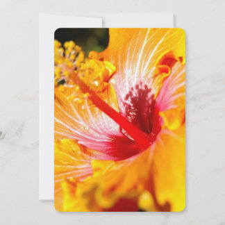 Orange Hibiscus Flower Side View Invitation