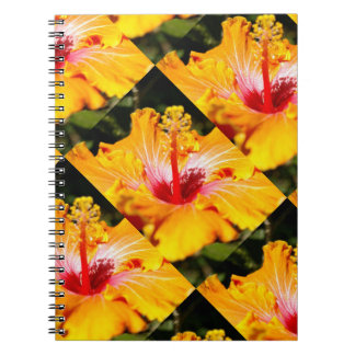 Orange Hibiscus Flower Side View Notebook