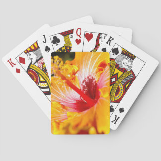 Orange Hibiscus Flower Side View Playing Cards