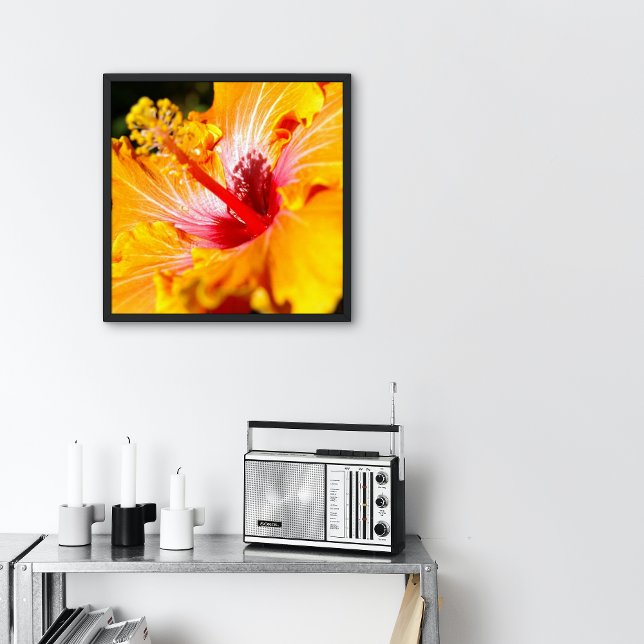 Orange Hibiscus Flower Side View Small Poster (Creator Uploaded)