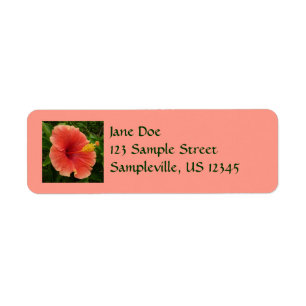 Orange Hibiscus Flower Tropical Floral