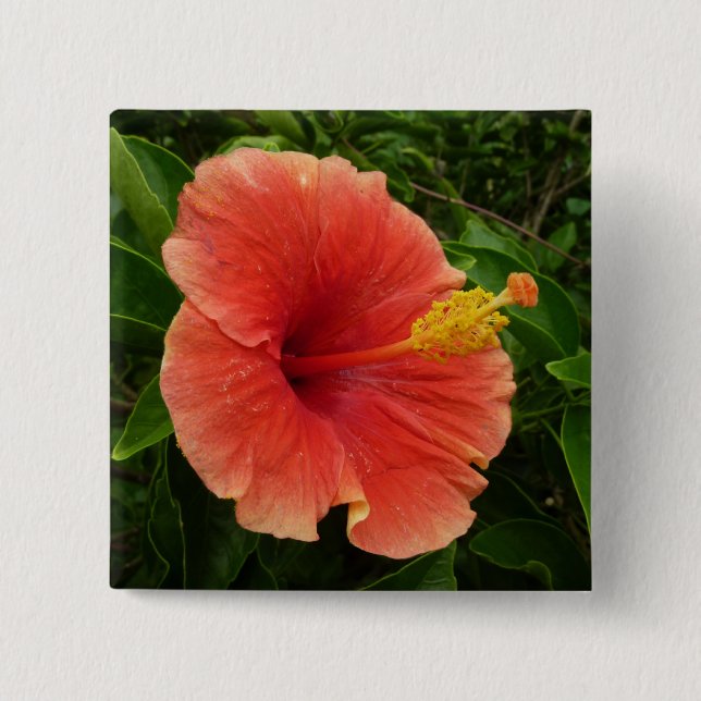 Orange Hibiscus Flower Tropical Floral 15 Cm Square Badge (Front)