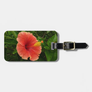 Orange Hibiscus Flower Tropical Floral Luggage Tag
