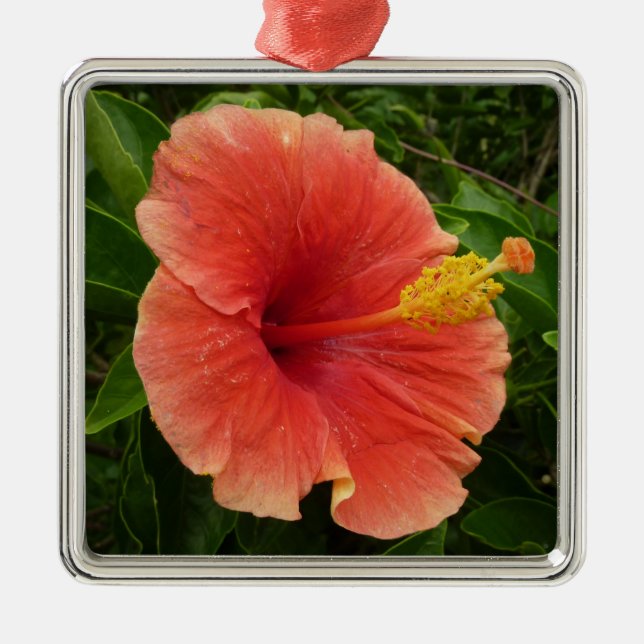 Orange Hibiscus Flower Tropical Floral Metal Tree Decoration (Front)