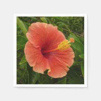 Orange Hibiscus Flower Tropical Floral Napkin