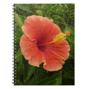 Orange Hibiscus Flower Tropical Floral Notebook