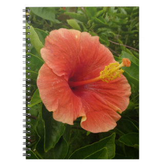 Orange Hibiscus Flower Tropical Floral Notebook
