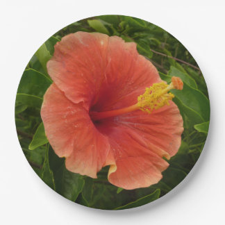 Orange Hibiscus Flower Tropical Floral Paper Plate