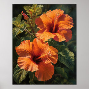 Orange Hibiscus Flowers Art Print Poster