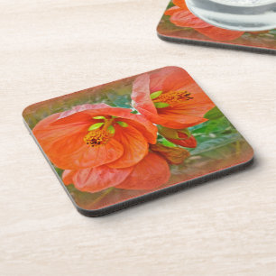 Orange Hibiscus Flowers Coaster