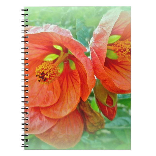 Orange Hibiscus Flowers Notebook (Front)