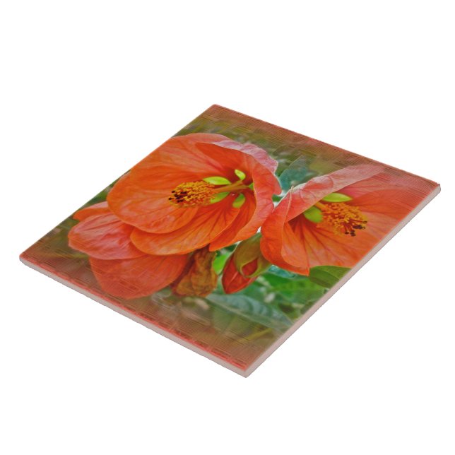 Orange Hibiscus Flowers Tile (Side)