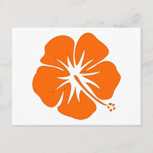 Orange Hibiscus Postcard