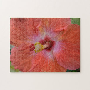 Orange Hibiscus Puzzle